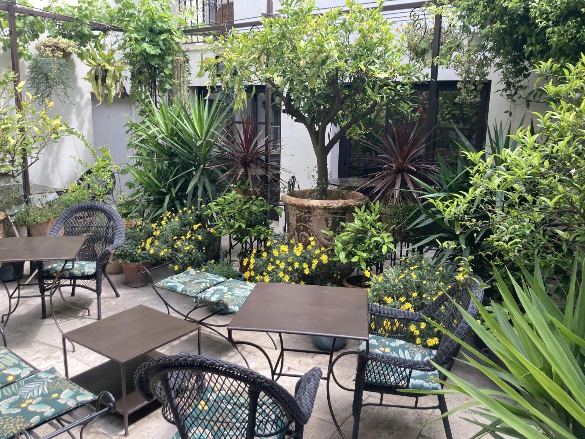 אביניון La Maison Des Augustins 4 Stars Spa Et Fitness חדר תמונה
