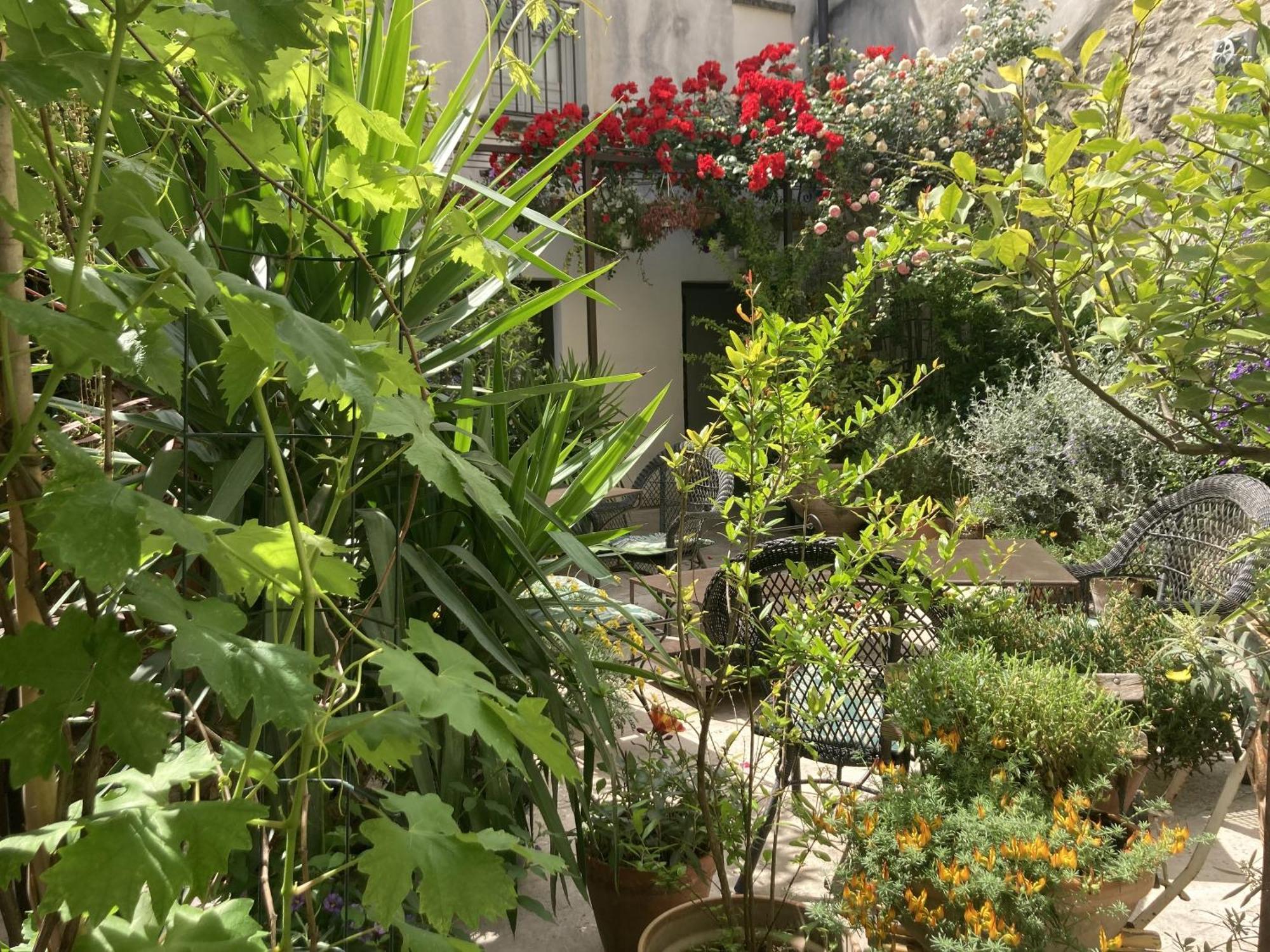 אביניון La Maison Des Augustins 4 Stars Spa Et Fitness חדר תמונה