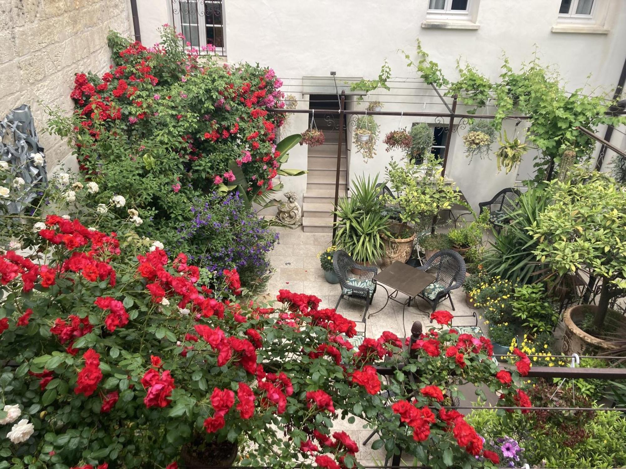 אביניון La Maison Des Augustins 4 Stars Spa Et Fitness חדר תמונה