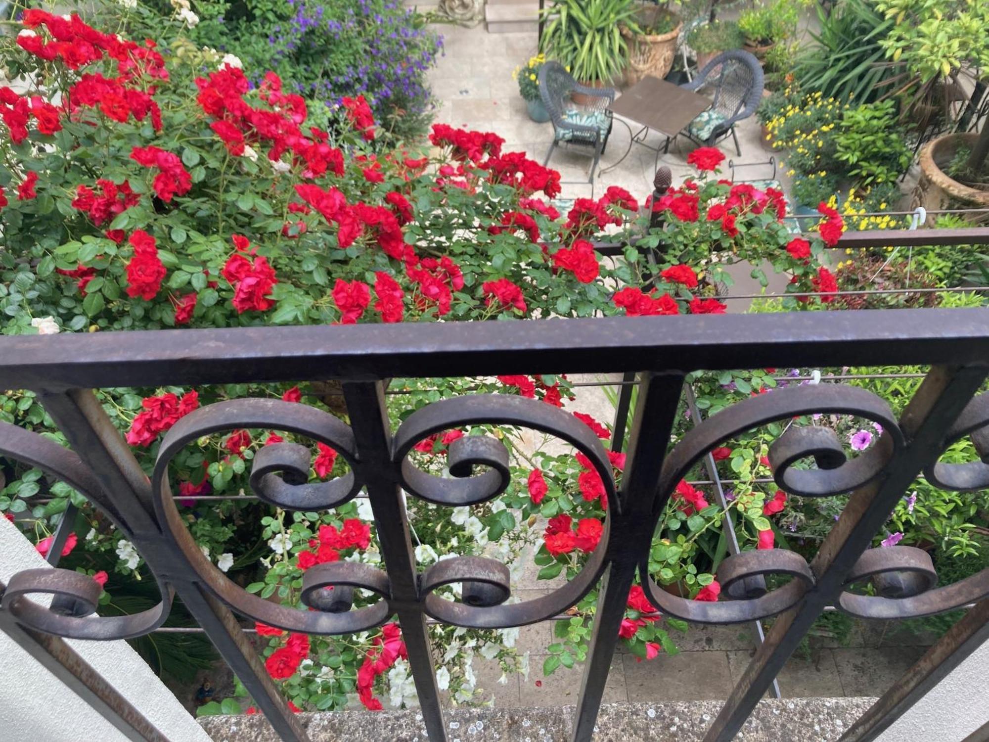 אביניון La Maison Des Augustins 4 Stars Spa Et Fitness מראה חיצוני תמונה