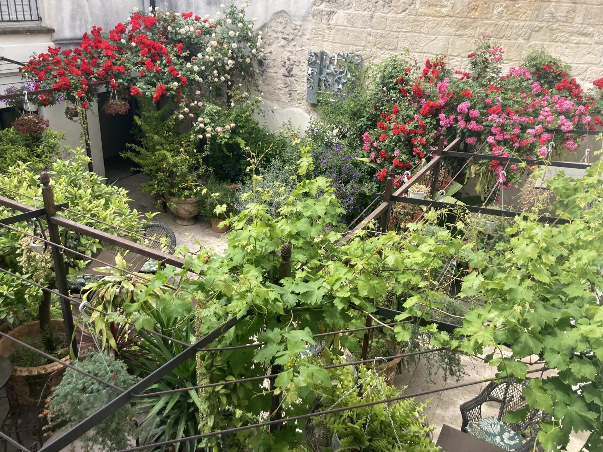אביניון La Maison Des Augustins 4 Stars Spa Et Fitness חדר תמונה
